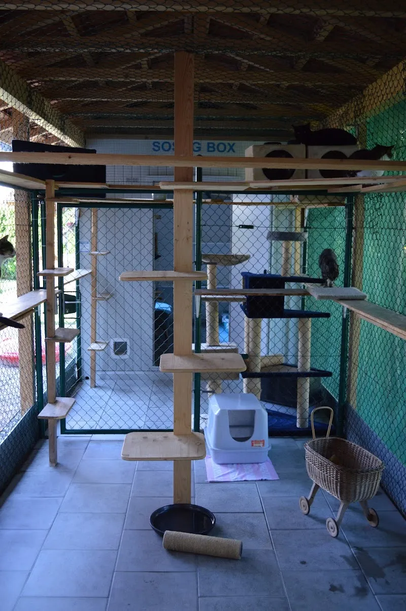 Merlin's Ferieninsel — Katzenpension, Würenlos, Aargau. Foto 2