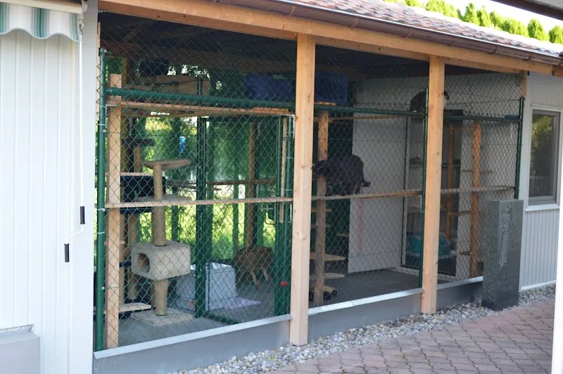 Merlin's Ferieninsel — Katzenpension, Würenlos, Aargau. Foto 3