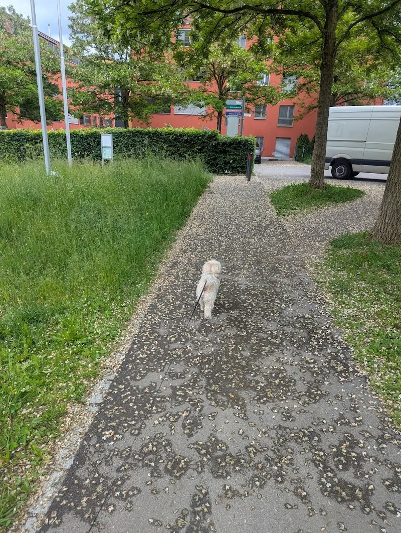 Nini's Petsitting — Pension pour chats, Zürich, Zurich. Foto 3