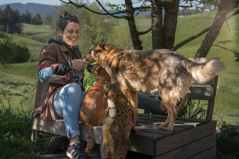 Ohana Tierbetreuung — Katzenpension in Schönenberg, Zürich. Bewertung 4.9/5.