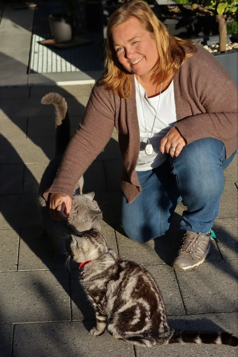 Pet-Service - Katzensitting bei Ihnen zu Hause — Pensione per gatti, Bremgarten, Argovia. Foto 3