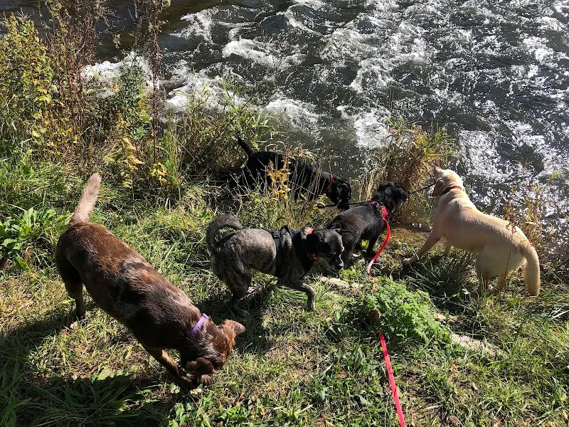 Lieblingstier-Basel — Katzenpension in Allschwil, Basel-Landschaft. Bewertung 5.0/5.