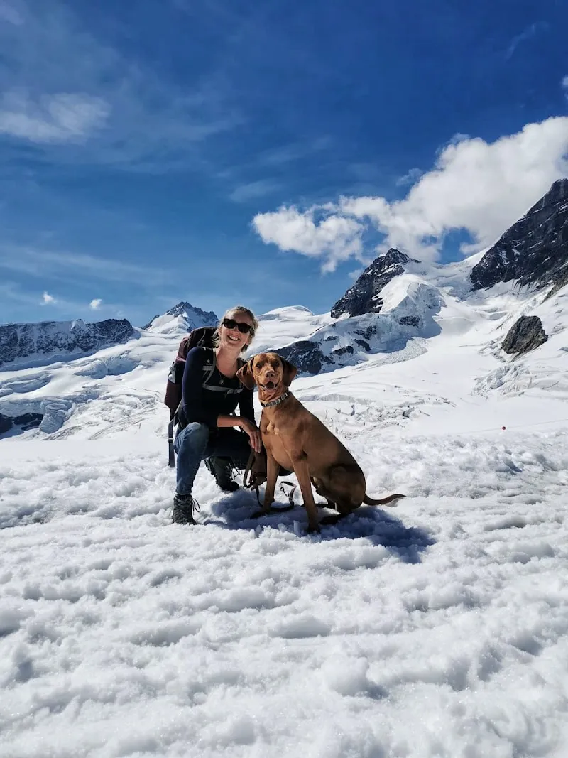 Lieblingstier-Basel — Katzenpension, Allschwil, Basel-Landschaft. Foto 2