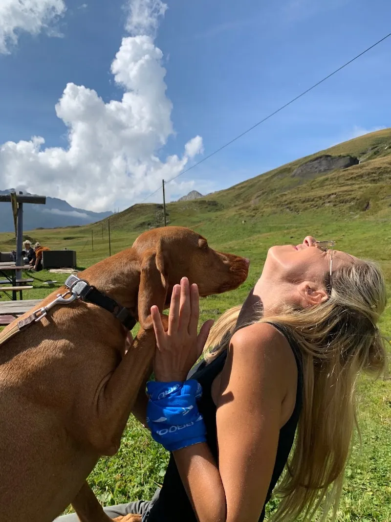 Lieblingstier-Basel — Katzenpension, Allschwil, Basel-Landschaft. Foto 3