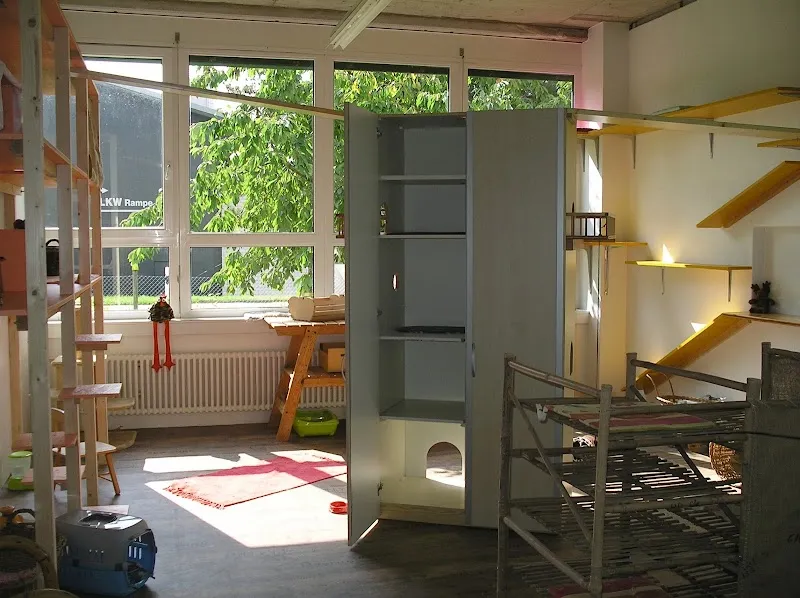 Pfötlipension Ossingen — Katzenpension in Ossingen, Zürich. Bewertung 5.0/5.