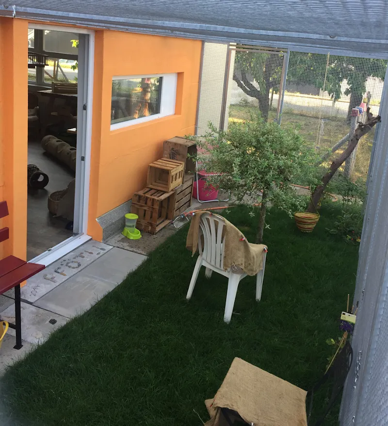 Pfötlipension Ossingen — Katzenpension, Ossingen, Zürich. Foto 2