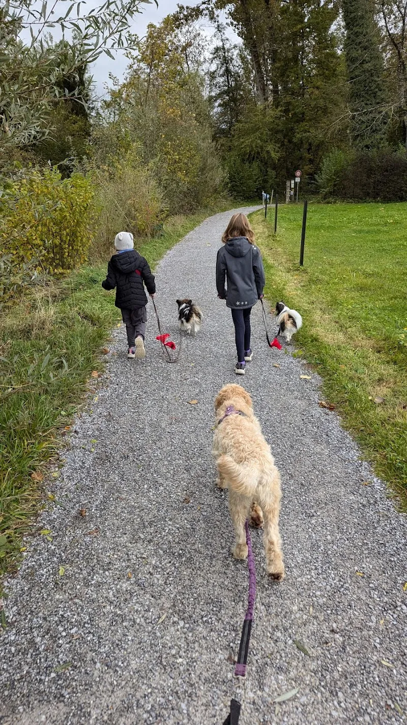 Sarah's Fellfreunde — Katzenpension, Rüti, Zürich. Foto 3