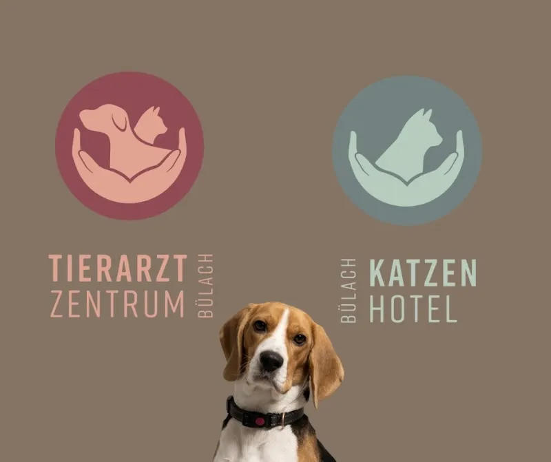 Tierarzt Zentrum & Katzenhotel Bülach — Katzenpension in Bülach, Zürich. Bewertung 5.0/5.