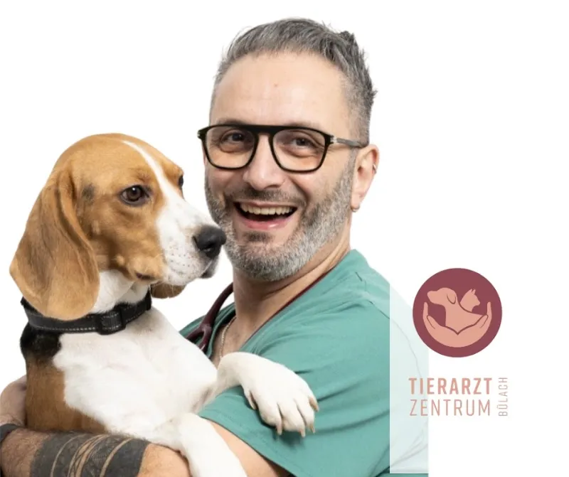 Tierarzt Zentrum & Katzenhotel Bülach — Katzenpension, Bülach, Zürich. Foto 2