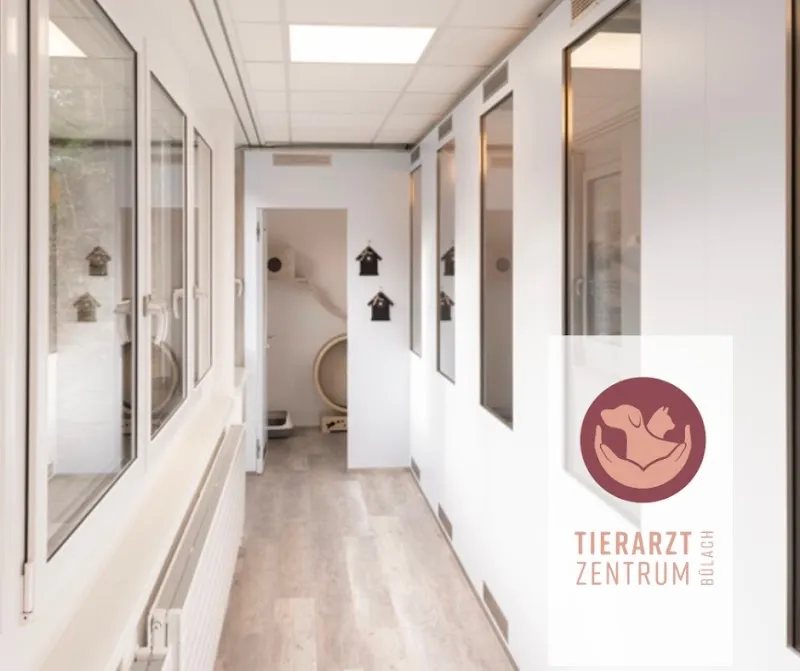 Tierarzt Zentrum & Katzenhotel Bülach — Katzenpension, Bülach, Zürich. Foto 3