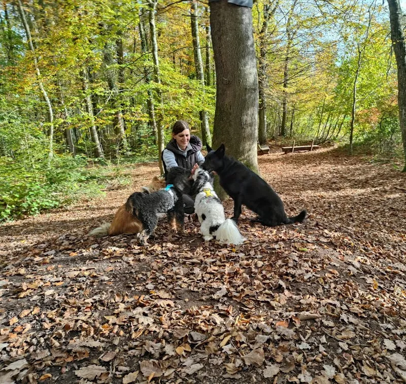 Nadine Zitzer Pfotenteam — Katzenpension in Riehen, Basel-Stadt. Bewertung 5.0/5.
