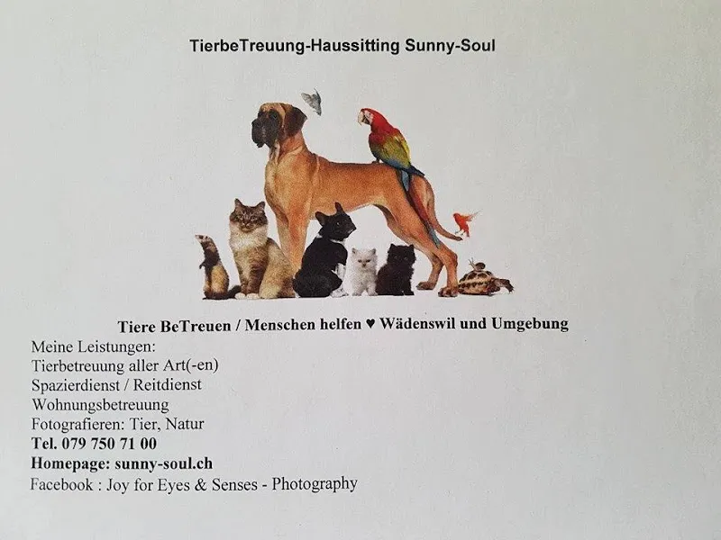 TierbeTreuung-Haussitting Sunny Soul — Katzenpension, Au ZH, Zürich. Foto 3