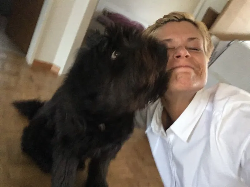 Tierbetreuung Zürcher Unterland — Katzenpension, Windlach, Zürich. Foto 3