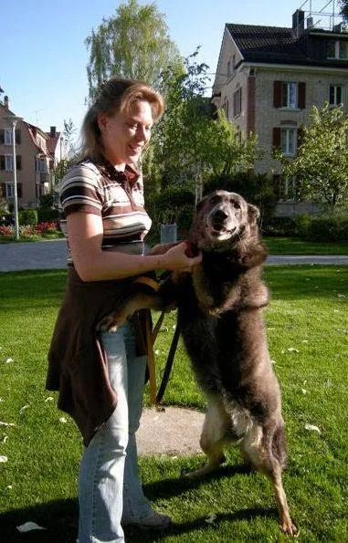 Tierli-Nanny — Pension pour chats, Winterthur, Zurich. Foto 2