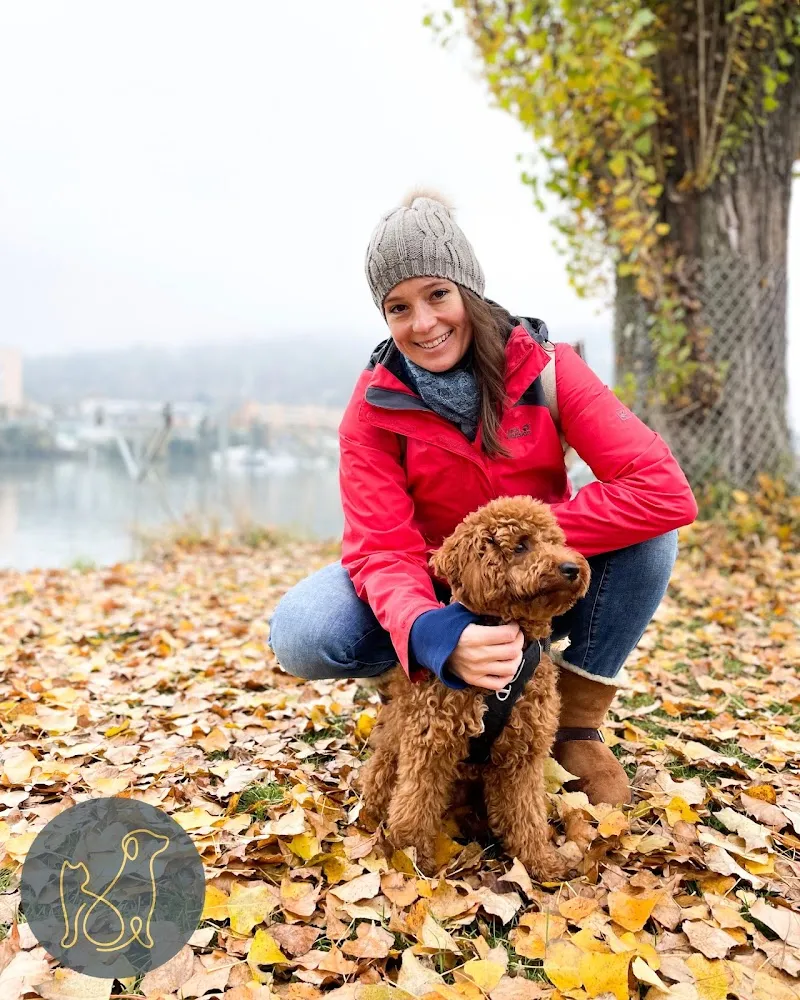 Paw & Property — Katzenpension in Basel, Basel-Stadt. Bewertung 4.9/5.