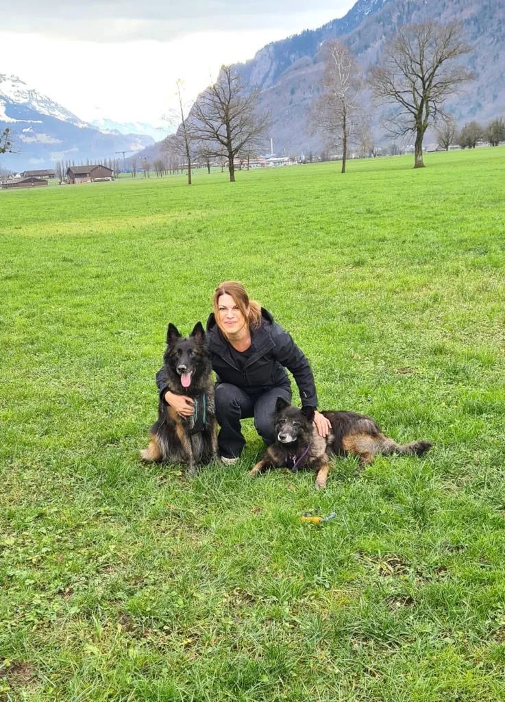 Tiernah — Pension pour chats, Wollerau, Schwyz. Foto 2