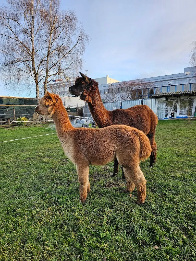 Tierwaisenhaus "Stiftung Tierambulanz" Oberglatt — Tierdienste in Oberglatt, Zürich. Bewertung 4.5/5.