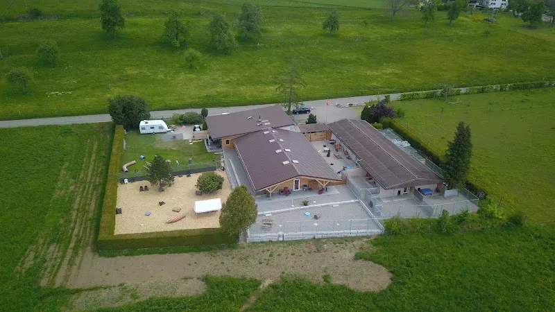 V.I.Pets Gossau - Tierpension — Katzenpension in Gossau, Zürich. Bewertung 4.4/5.