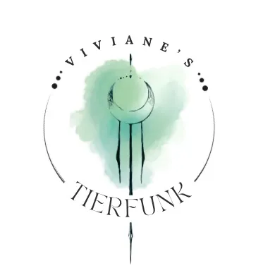 Viviane Sonderegger | Tierkommunikation — Pension pour chats, Zürich, Zurich. Foto 3