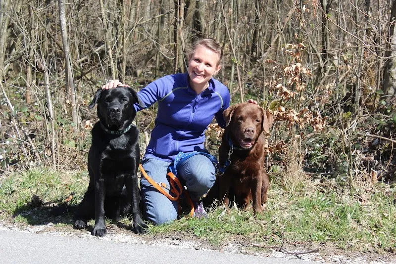 Happy Tails Dogcare — Katzenpension in Lengnau, Aargau. Bewertung 5.0/5.