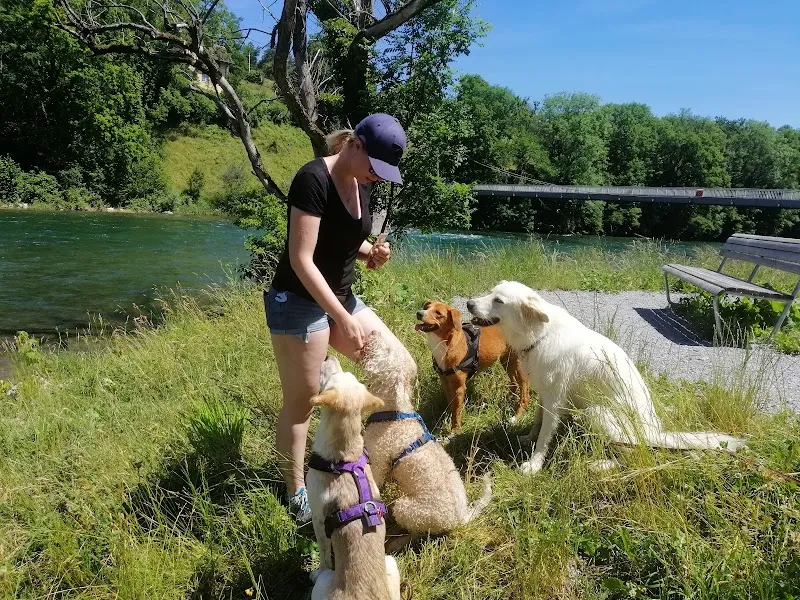 Happy Tails Dogcare — Pet Service, Lengnau, Aargau. Foto 2