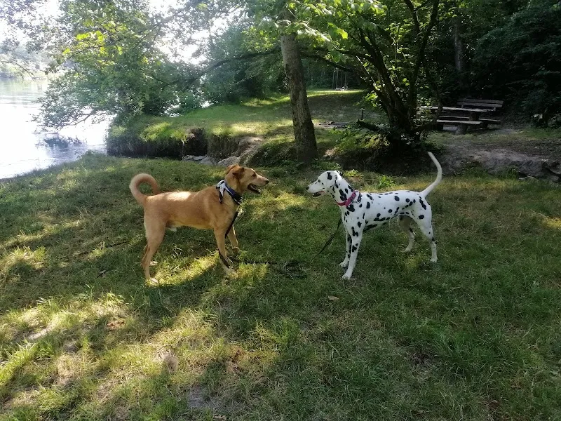 Happy Tails Dogcare — Pet Service, Lengnau, Aargau. Foto 3