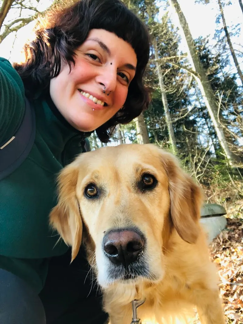 Wondercare Amor — Pension pour chats, Zürich, Zurich. Foto 2