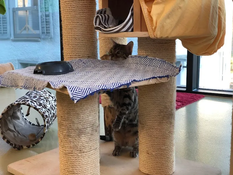 Zürcher Tierschutz — Refuge, Zürich, Zurich. Foto 2