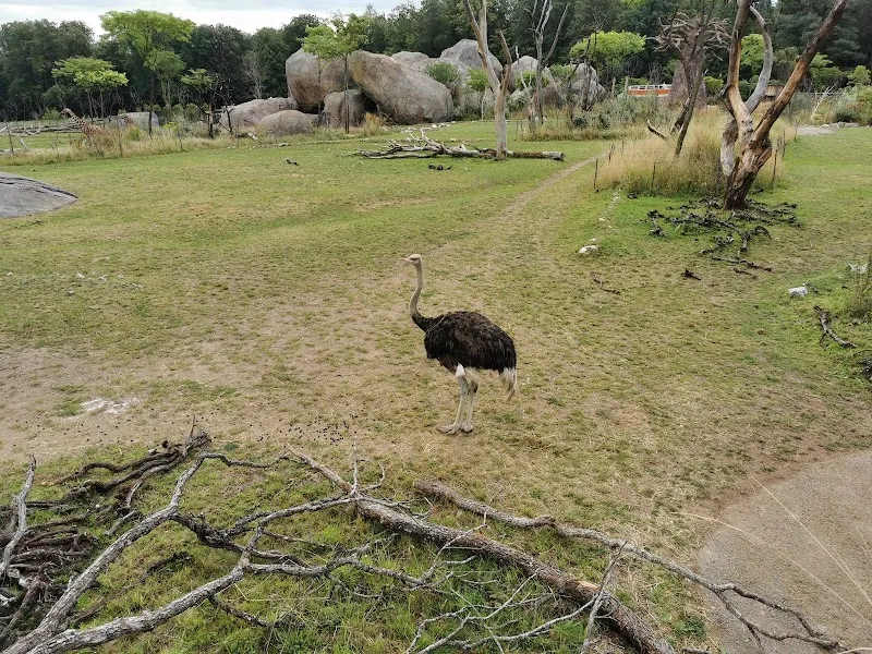 Zürcher Tierschutz — Refuge, Zürich, Zurich. Foto 3