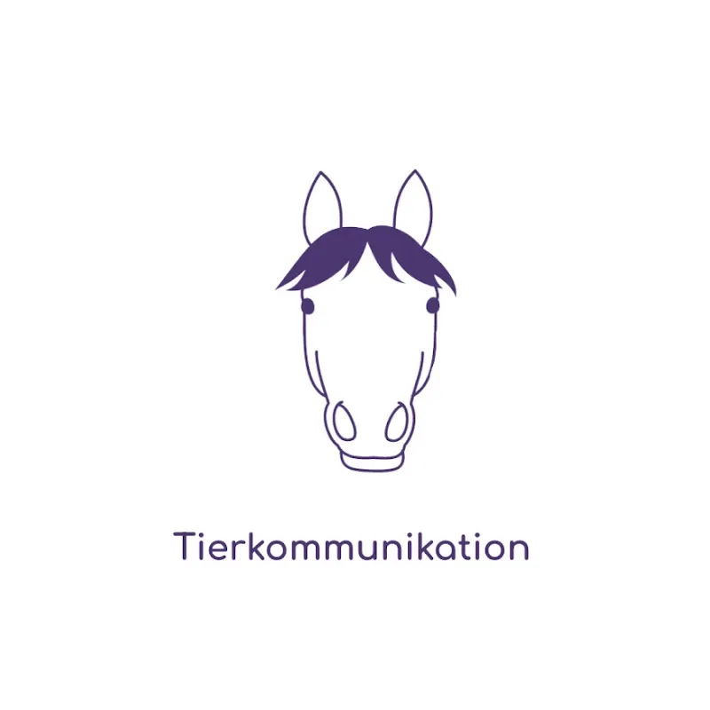 animal souls - Tier-Mensch Begleitung — Katzenpension, Hedingen, Zürich. Foto 2