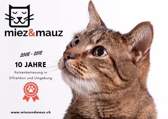 miez&mauz — Pension pour chats, Illnau-Effretikon, Zurich. Foto 2