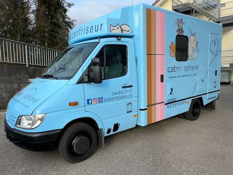 mobiler Katzenfriseur / Katzensalon catmosphere — Katzenpension in Horgen, Zürich. 