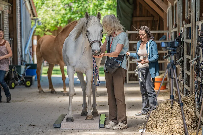 tiertherapien.ch Anita Müller — Katzenpension in Fischenthal, Zürich. Bewertung 5.0/5.