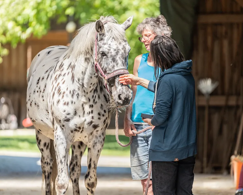 tiertherapien.ch Anita Müller — Tierdienst, Fischenthal, Zürich. Foto 2