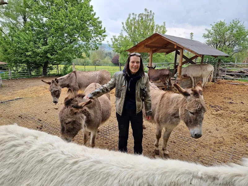 tiertherapien.ch Anita Müller — Tierdienst, Fischenthal, Zürich. Foto 3