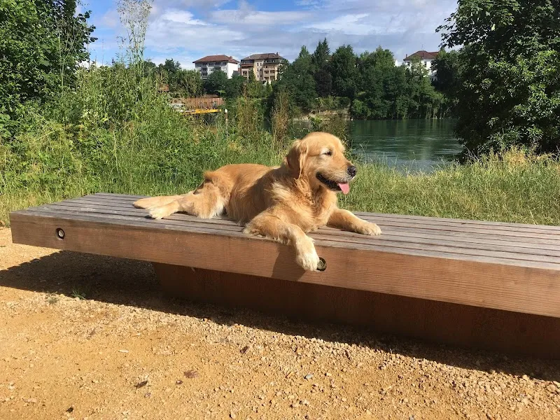 VIP Pets - Jeanine Zürcher — Katzenpension in Oberwil, Basel-Landschaft. Bewertung 4.7/5.