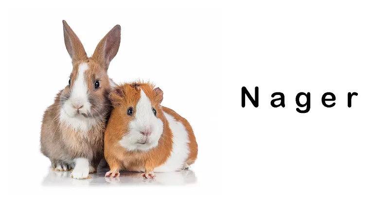 VIP Pets - Jeanine Zürcher — Pensione per gatti, Oberwil, Basilea Campagna. Foto 3