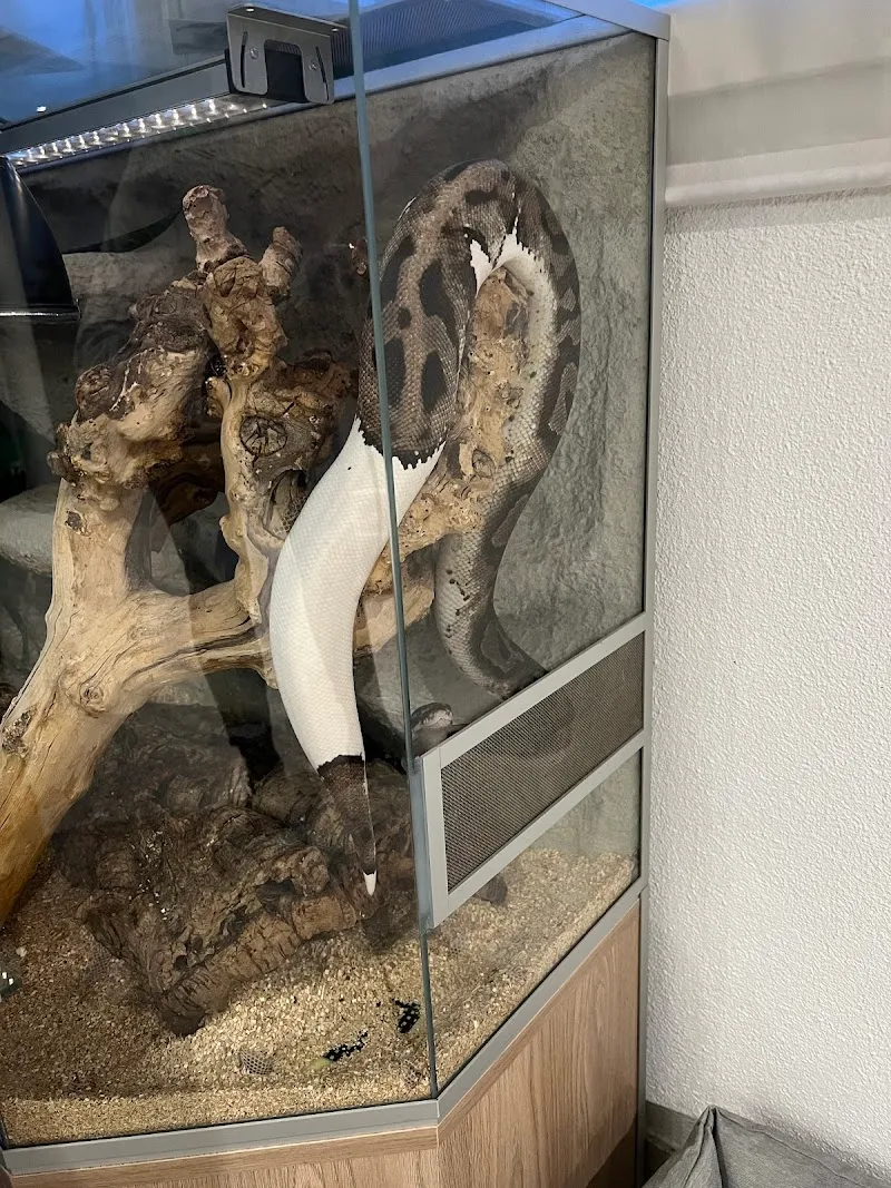 Dr.med.vet. Adrian Meyer — Tierarzt, Dottikon, Aargau. Foto 3