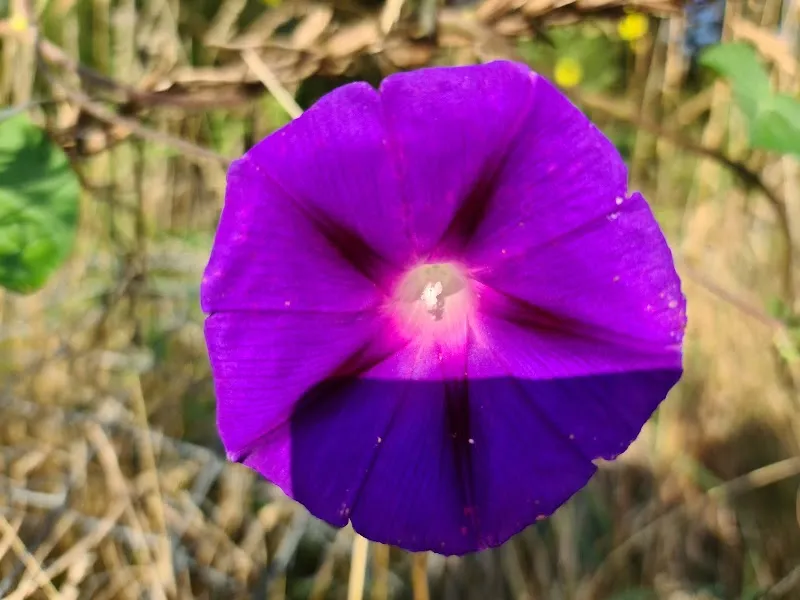 Kleintierklinik Am Sonnenberg — Vétérinaire, Möhlin, Argovie. Foto 2