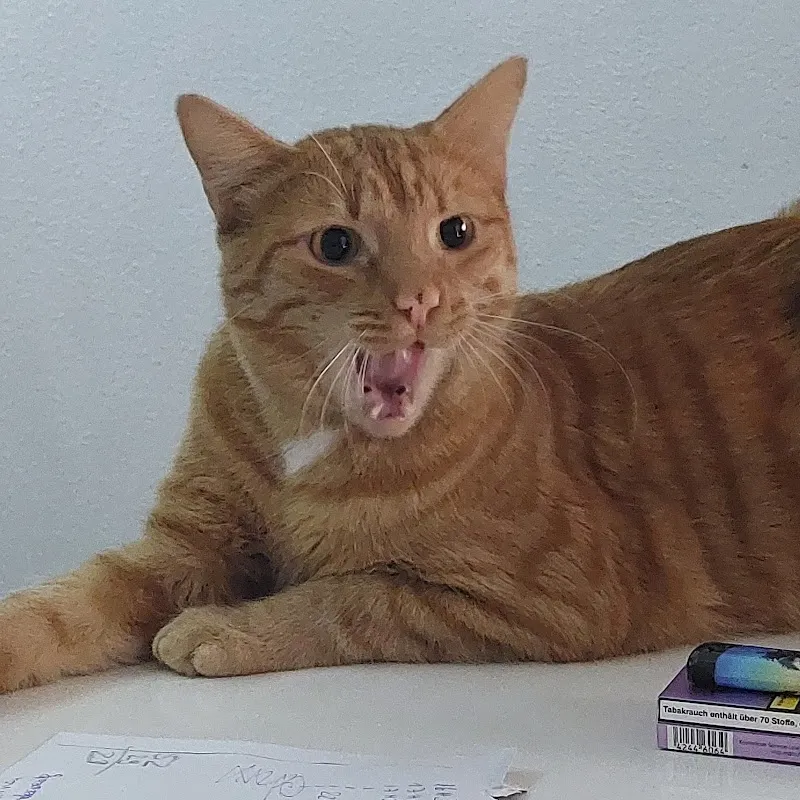 Kleintierklinik Am Sonnenberg — Vétérinaire, Möhlin, Argovie. Foto 3