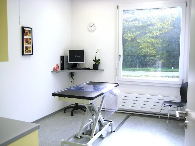 Kleintierpraxis 4 Pfoten, Hilfiker-Jud Franziska, Dr. med. vet. — Tierarzt, Villmergen, Aargau. Foto 2