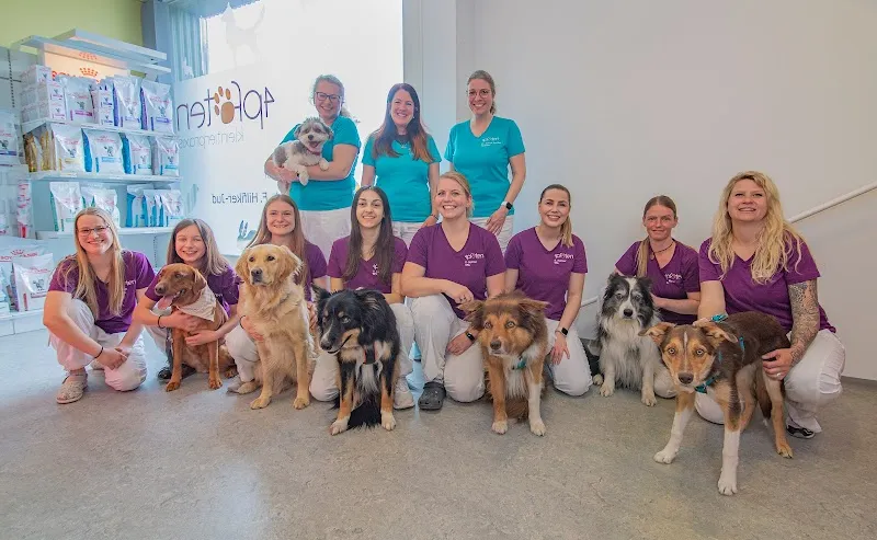 Kleintierpraxis 4 Pfoten, Hilfiker-Jud Franziska, Dr. med. vet. — Tierarzt, Villmergen, Aargau. Foto 3