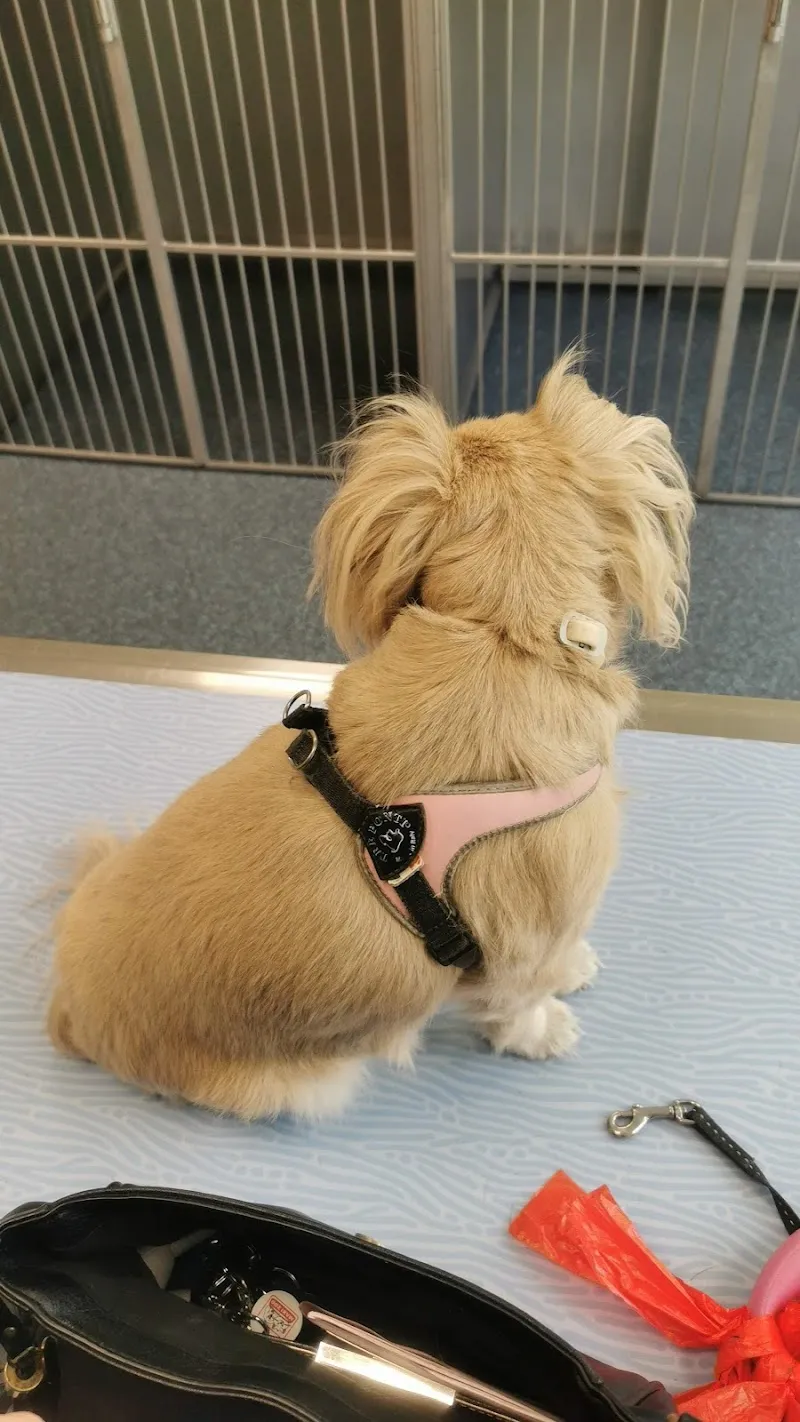 Kleintierpraxis Bremgarten AG — Tierarzt in Bremgarten, Aargau. Bewertung 4.7/5.