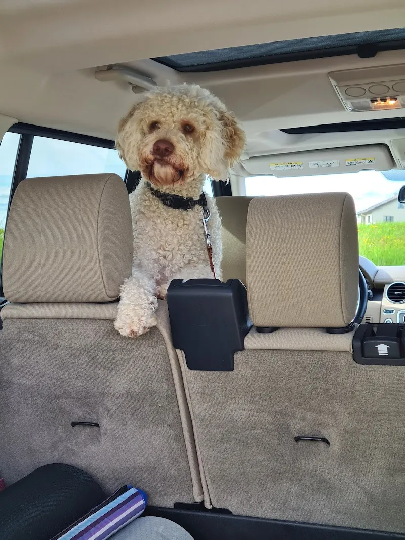 Kleintierpraxis Dr. Vögtli — Tierarzt in Brugg, Aargau. Bewertung 4.9/5.