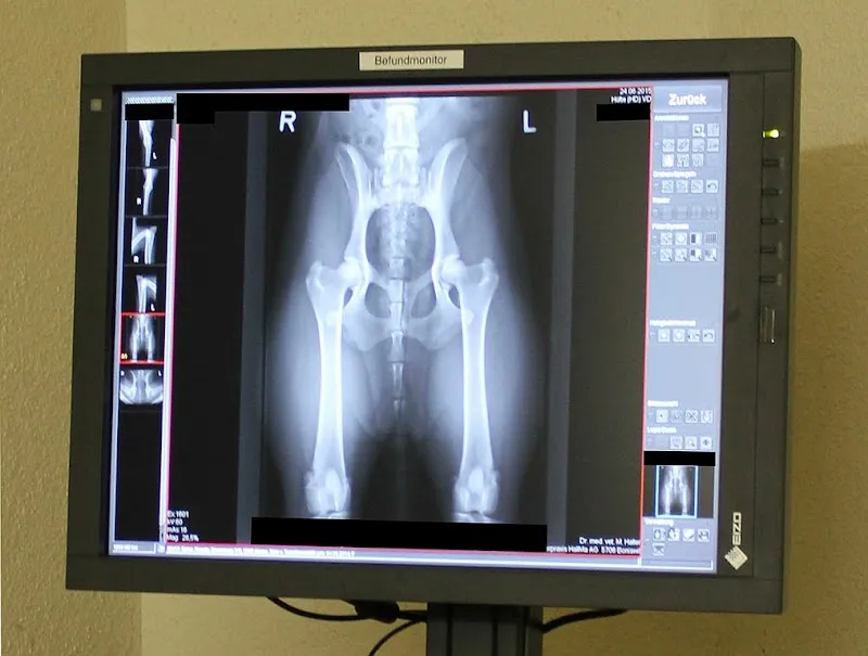 Kleintierpraxis HallMa AG — Vétérinaire, Boniswil, Argovie. Foto 3