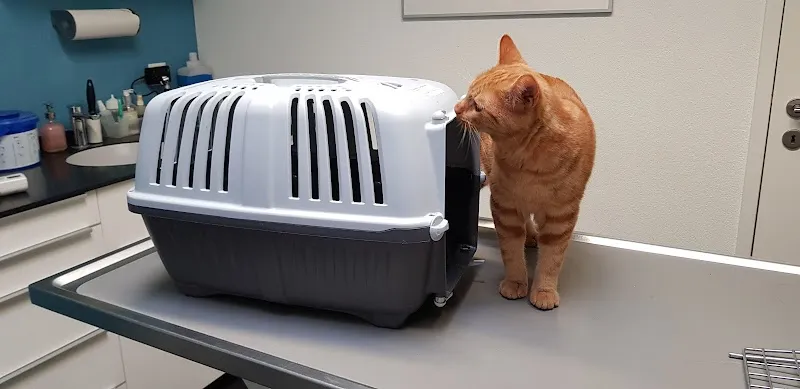 Kleintierpraxis im Ländli GmbH — Vétérinaire, Baden, Argovie. Foto 3