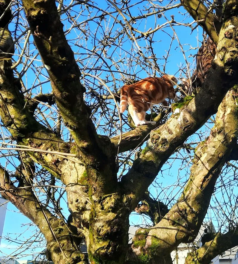 Koch Tierärzte — Tierarzt in Villmergen, Aargau. Bewertung 4.6/5.