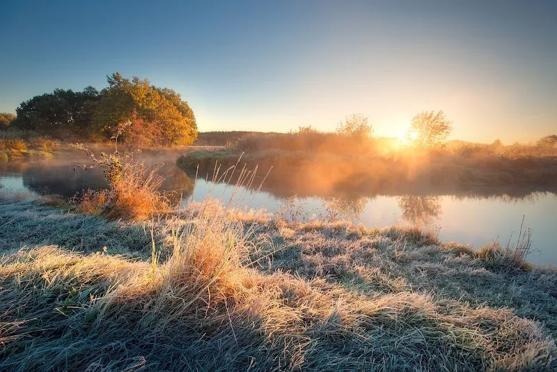 Luzia Fischer Tierarztpraxis & Sterbebegleitung — Tierarzt in Rombach, Aargau. Bewertung 4.3/5.