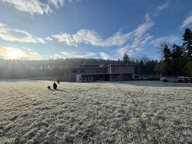 Berner Tierzentrum — Katzenpension in Wohlen bei Bern, Bern. Bewertung 4.7/5.
