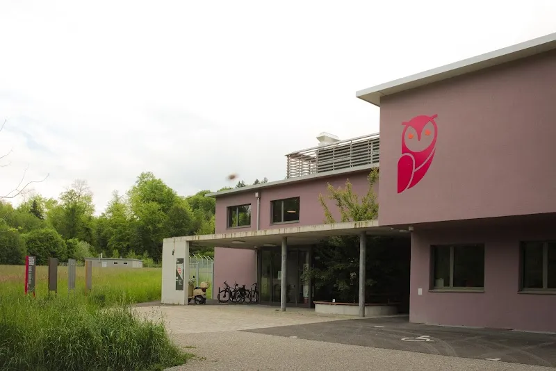 Berner Tierzentrum — Katzenpension, Wohlen bei Bern, Bern. Foto 2